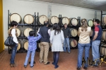 Visita Bodega Ecológica, Vitis Natura